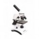Mikroskop Sagittarius SCHOLAR 303 40-400x