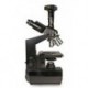 Trójokularowy Mikroskop Cyfrowy Levenhuk D870T 8M